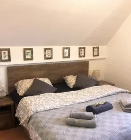 Hiška Terme Čatež