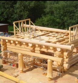 Masivne bivalne brunarice v Sloveniji, Avstriji