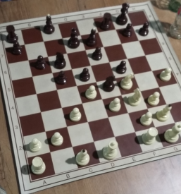 Šahovske urice Koper