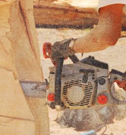 Kje kupiti gradbeni les