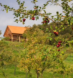 Obisk krajinskega parka Grosuplje