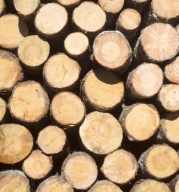 Lumber wholesale