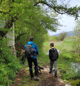 Hire a tour guide in the Notranjska region