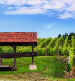Poceni nočitev z zajtrkom ob Kolpi
