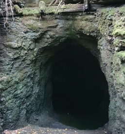 Obisk krajinskega parka Ljubljana