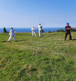 Ugoden trening borilnih veščin v Ljubljani