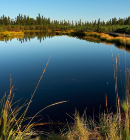 Najem ugodnega apartmaja Zreče