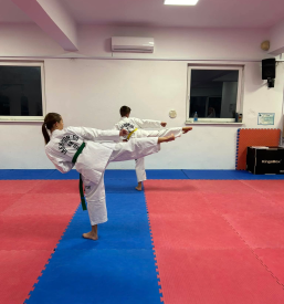 Tečaj teakwondoja Radovljica