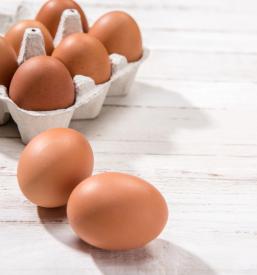 Reja perutnine Godovič, Litija