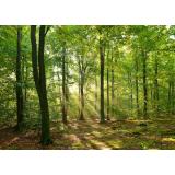 Društvo za ohranjanje lovske kulture