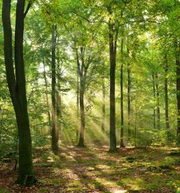 Predavanja za šole in vrtce Koroška