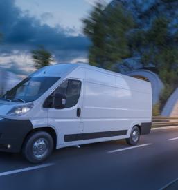 Kombi prevozi tovora po Štajerskem