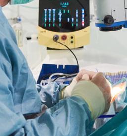 Estetika Nova Gorica