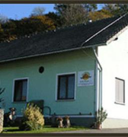 Domače bučno olje Gornja Radgona in okolica