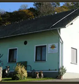Domače bučno olje Gornja Radgona in okolica