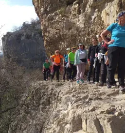 Planinsko društvo Pomurje