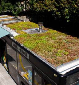 Mladinski center Ljubljana