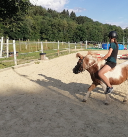 Šola jahanja za otroke Radovljica