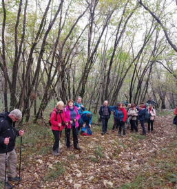 Planinsko društvo v Rušah