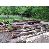 Gozdarske storitve Dušan Matjaž s.p.