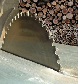 Großhandel mit Baumaterialien und Brennholz in Slowenien