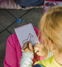 Športni dogodki Hrplje-Kozina