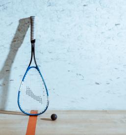 Vpis v Squash klub Lesce Bled