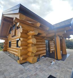 Lesene masivne bivalne brunarice v Sloveniji