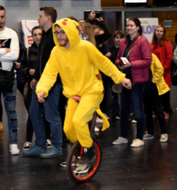 Animacija odraslih v Sloveniji