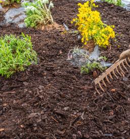 Urejanje dvorišč Kojsko