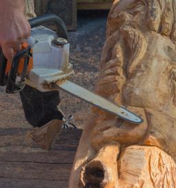 Žaganje lesa Pomurje