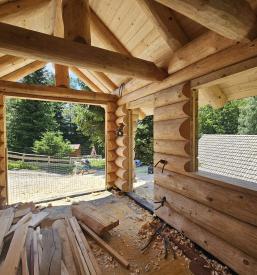 Masivne bivalne brunarice v Sloveniji