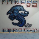 Fitnes PeroGym