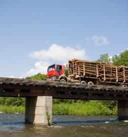 Ugodni prevozi hlodovine Savinjska, Slovenija in tujina