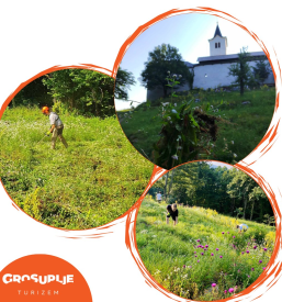 TIC Grosuplje - Zavod za turizem in promocijo Grosuplje