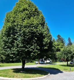 Kampiranje Savinjska