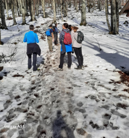 Planinsko društvo pohodi