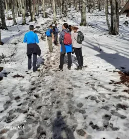 Planinsko društvo pohodi