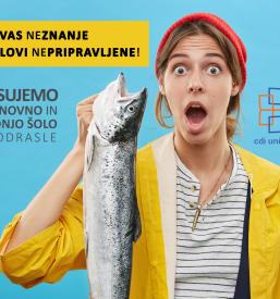 Priprava na splošno maturo iz izbirnih predmetov Ljubljana