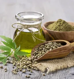 CBD olja Koper