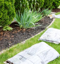 Zunanja ureditev v Tržiču