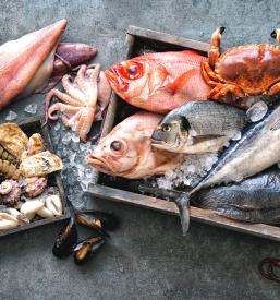 Veleprodaja prehrambnih izdelkov