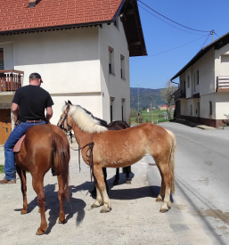 Aaffordable tourist guide to Notranjska