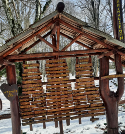 Aktivnosti planinskega društva Polhov Gradec