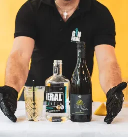 Slovenski gin