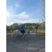 Izletniška kmetija ranč Sitar