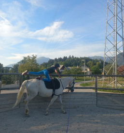 Kvalitetna šola jahanja Radovljica