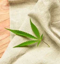 CBD kapljice Obala