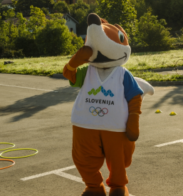 Združenje športnih društev Hrpelje-Kozina, ŠZ Hrpelje-Kozina