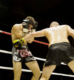 Tajski boks Črnomelj, Bela krajina